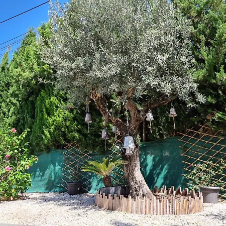 Grey House Vila