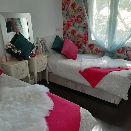 Vila Grey House Orba